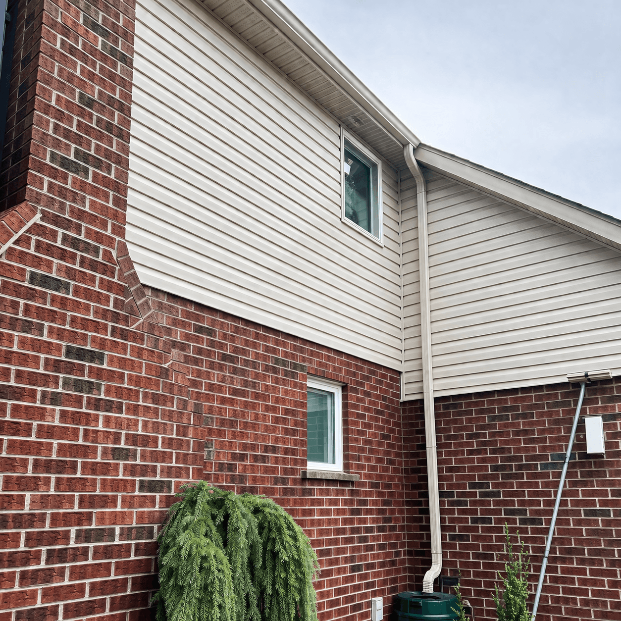 After photo of a Warrior Wash siding cleaning result
