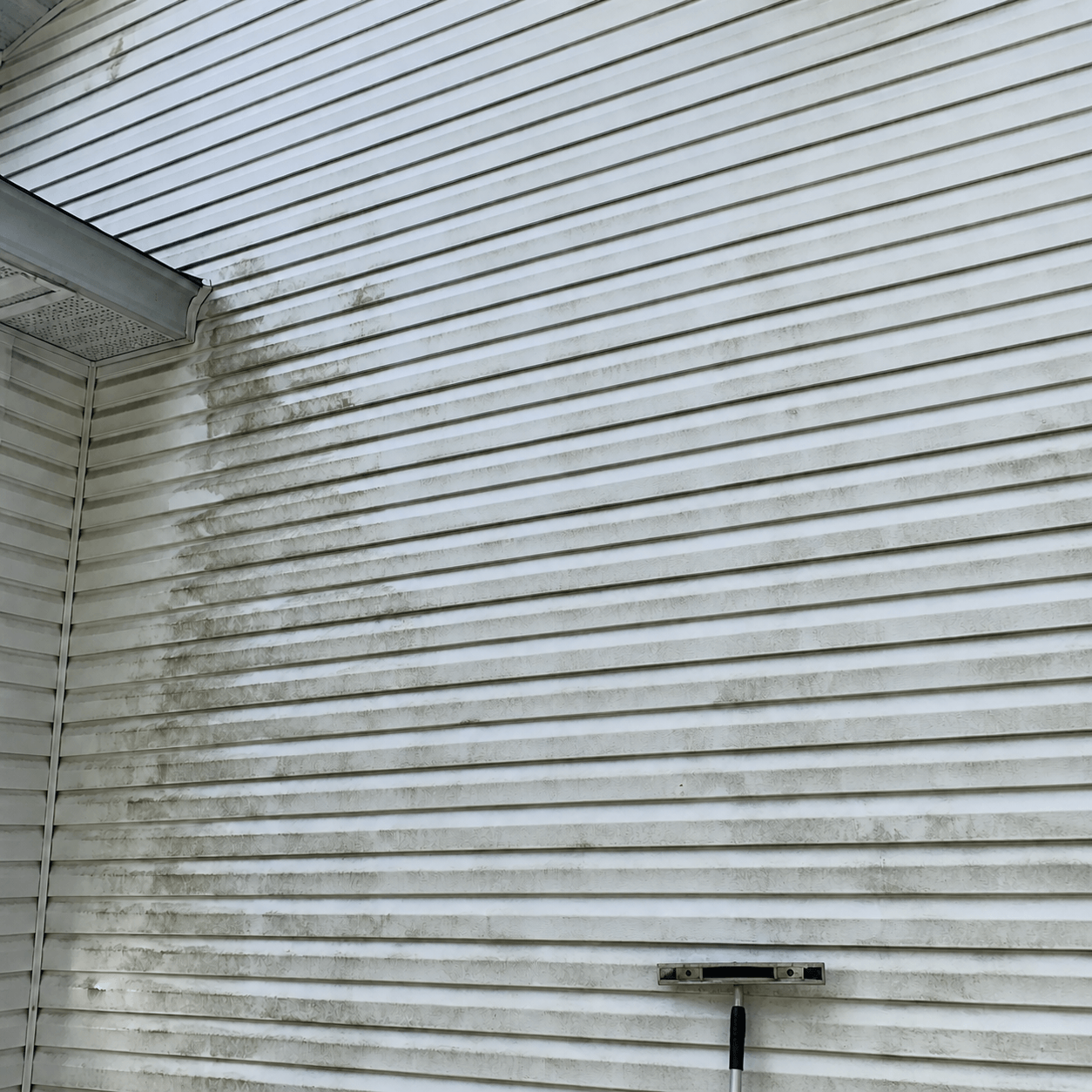 Before photo of a Warrior Wash siding cleaning project