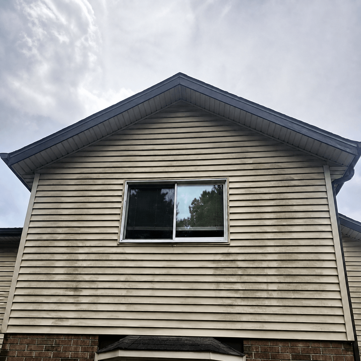 Before photo of a Warrior Wash gutter debris removal project